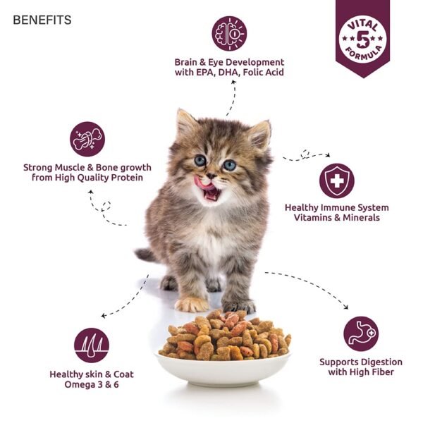 Top tail Kitten Dry Cat Food - 400 gm (Upto 12 Months) | Perfectly Balanced Cat Food with Salmon & Chicken | Fortified with Vitamins & Minerals - Image 3