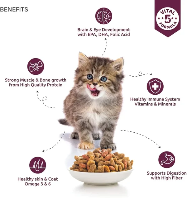 Top tail Kitten Dry Cat Food - 1.1 Kg (Upto 12 Months) | Perfectly Balanced Cat Food with Salmon & Chicken | Fortified with Vitamins & Minerals - Image 3