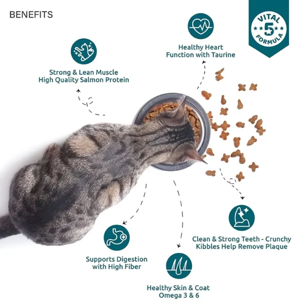 Top tail Adult Dry Cat Food - 450 GMS (Above 12 Months) | Perfectly Balanced Cat Food with Salmon & Chicken | Fortified with Vitamins & Minerals - Image 3