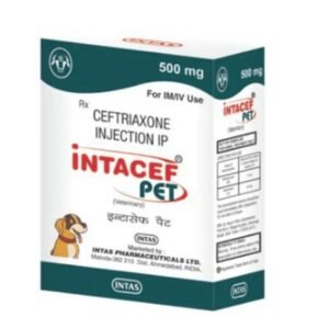 Intacef 500Mg