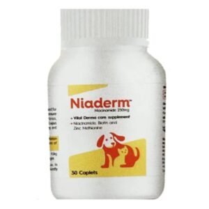 Niaderm 500mg (Niacinamide) Capsules Derma Care Supplements for Dogs and Cats