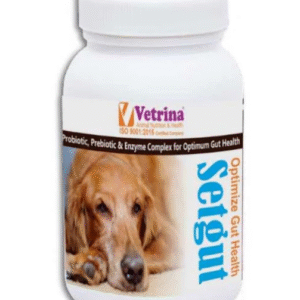 Vetrina Setgut Powder for Dogs and Cats 50gm