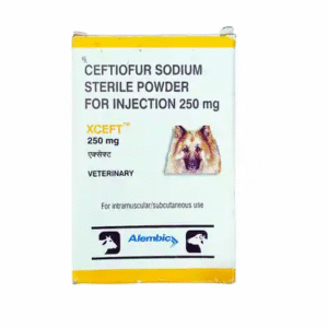 Xceft Injection 250Mg