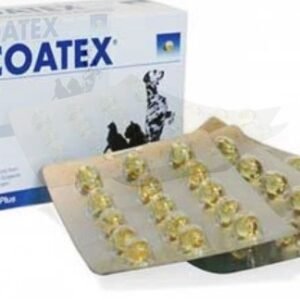 Coatex Cap 1*15Tab