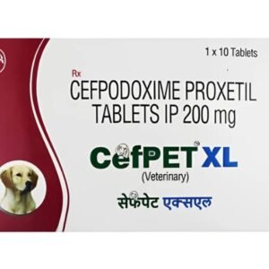 Cefpet XL 200mg Tablet