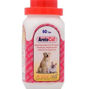 Areiocal 60Tab 60