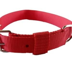 Polypropylene (PP) Dog Collar 1.1/4"