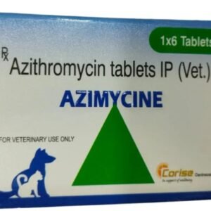 Azimycine Tablet