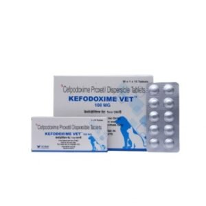 Kefodoxime Dry Syrup 30Ml