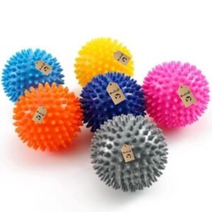 Pet Spike Ball 0