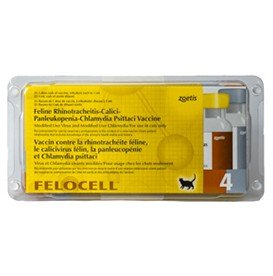 Felocell 1 Dose