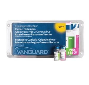 Vanguard- Cv 1Ml