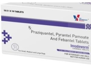 Drools Veterinary Health Invadeworm Tablet