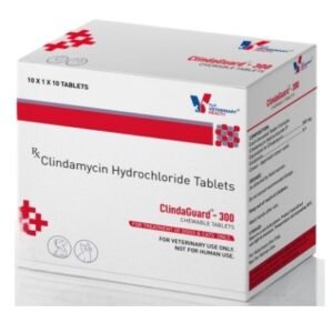 Drools Veterinary Health Clindaguard 300mg Tablet