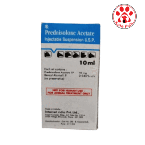 Prednisolone 10ml