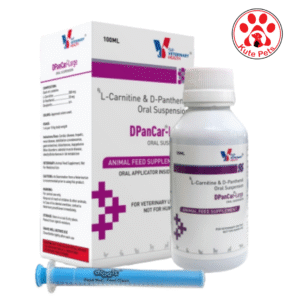 Drools Veterinary Health DPanCar - Large 100ml