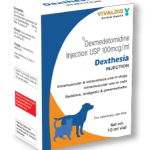 Dexthesia Inj 10ml
